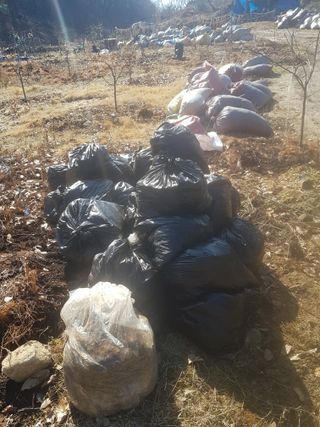 당근한개님의 기타작물 · 자유게시판 작성글 사진