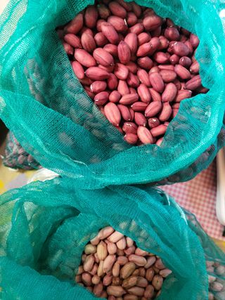 다소농원님의 자유주제 · 자유게시판 작성글 사진