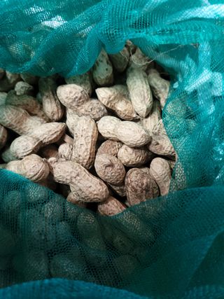 다소농원님의 자유주제 · 자유게시판 작성글 사진