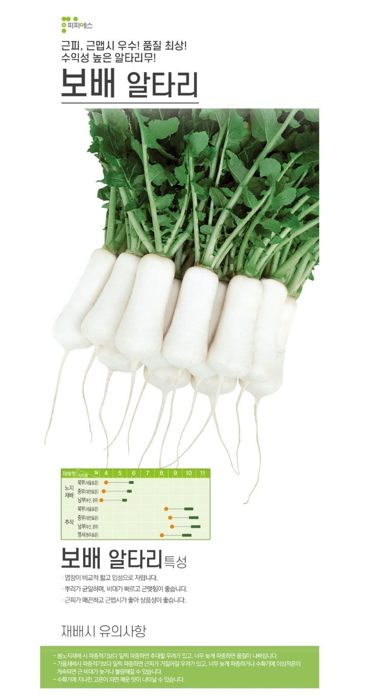 대산농사대장님의 장터 판매 상품 [보배알타리] 첨부 사진