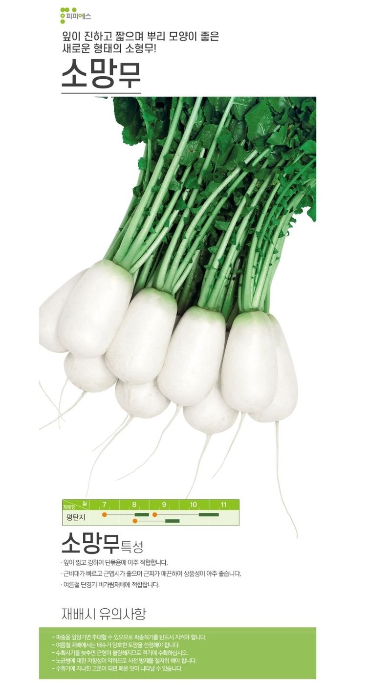 대산농사대장님의 장터 판매 상품 [보배알타리] 첨부 사진