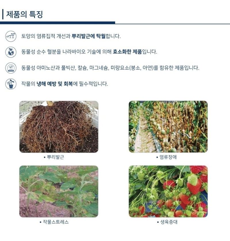 대산농사대장님의 장터 판매 상품 [모두싹 프리미엄1kg 2병+붕산칼슘1병 증정] 첨부 사진