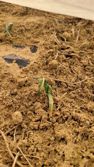 선영~~님의 자유주제 · 자유게시판 작성글 사진