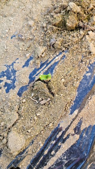 선영~~님의 자유주제 · 자유게시판 작성글 사진