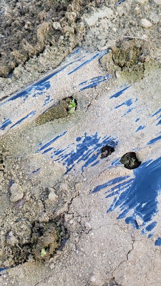 선영~~님의 자유주제 · 자유게시판 작성글 사진