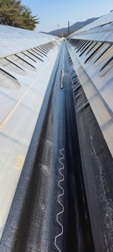 팜모닝 자유주제·자유게시판 게시글 이미지