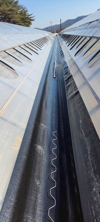 양선옥님의 자유주제 · 자유게시판 작성글 사진