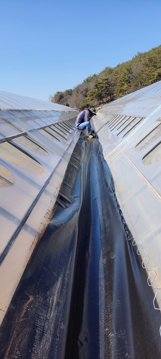 양선옥님의 자유주제 · 자유게시판 작성글 사진