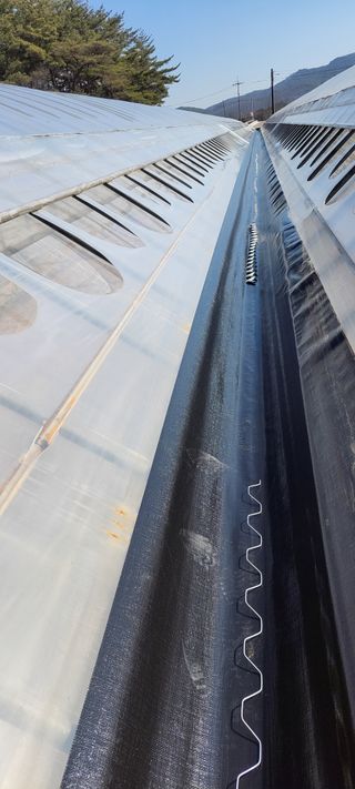 양선옥님의 자유주제 · 자유게시판 작성글 사진