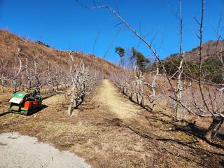 이희규님의 사과 · 영농일지 작성글 사진