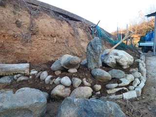 오영도님의 자유주제 · 자유게시판 작성글 사진