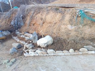 오영도님의 자유주제 · 자유게시판 작성글 사진