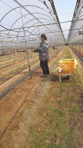 자두6478님의 함께 일하는 동료는 몇명인가요? · 참여글 작성글 사진