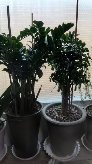 자두6478님의 함께 일하는 동료는 몇명인가요? · 참여글 작성글 사진