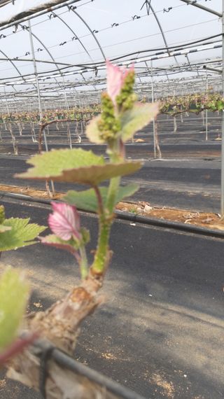 자두6478님의 함께 일하는 동료는 몇명인가요? · 참여글 작성글 사진