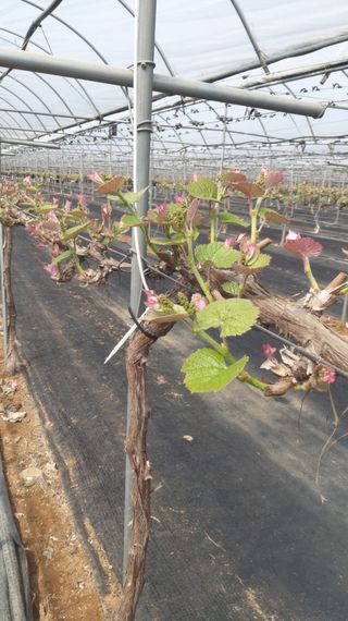 자두6478님의 함께 일하는 동료는 몇명인가요? · 참여글 작성글 사진