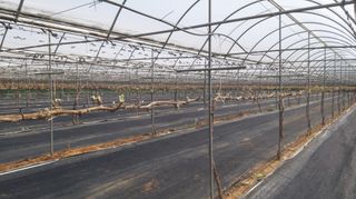 자두6478님의 함께 일하는 동료는 몇명인가요? · 참여글 작성글 사진