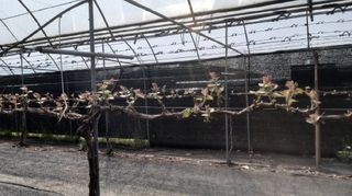 자두6478님의 함께 일하는 동료는 몇명인가요? · 참여글 작성글 사진