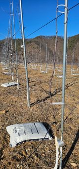 팜모닝 함께 일하는 동료는 몇명인가요?·참여글 게시글 이미지