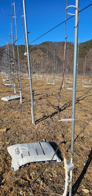 염인수님의 함께 일하는 동료는 몇명인가요? · 참여글 작성글 사진