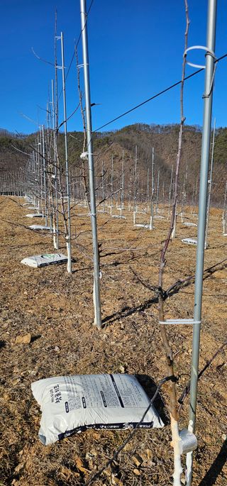 염인수님의 함께 일하는 동료는 몇명인가요? · 참여글 작성글 사진