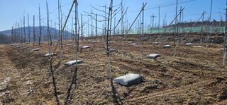 염인수님의 함께 일하는 동료는 몇명인가요? · 참여글 작성글 사진