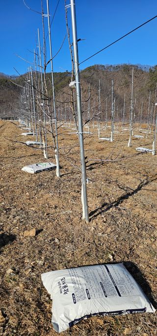 염인수님의 함께 일하는 동료는 몇명인가요? · 참여글 작성글 사진