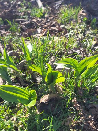 둥근마지기님의 기타작물 · 자유게시판 작성글 사진