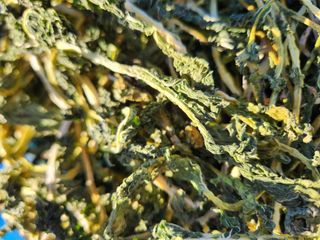 장지영님의 작성글 사진