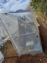 팜모닝 함께 일하는 동료는 몇명인가요?·참여글 게시글 이미지