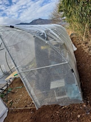 제라늄님의 함께 일하는 동료는 몇명인가요? · 참여글 작성글 사진