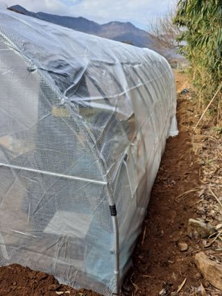 제라늄님의 함께 일하는 동료는 몇명인가요? · 참여글 작성글 사진