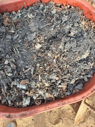 제라늄님의 함께 일하는 동료는 몇명인가요? · 참여글 작성글 사진