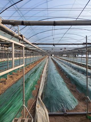 류순년님의 오이 · 자유게시판 작성글 사진