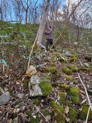 산삼님의 자유주제 · 자유게시판 작성글 사진