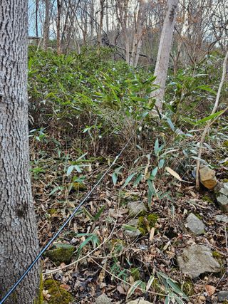 산삼님의 자유주제 · 자유게시판 작성글 사진