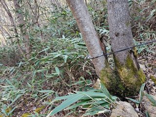 산삼님의 자유주제 · 자유게시판 작성글 사진
