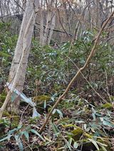 팜모닝 기타작물·영농일지 게시글 이미지