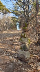 팜모닝 자유주제·자유게시판 게시글 이미지