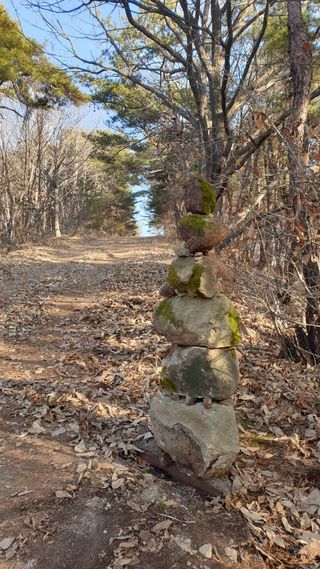 세미골곶감님의 자유주제 · 자유게시판 작성글 사진
