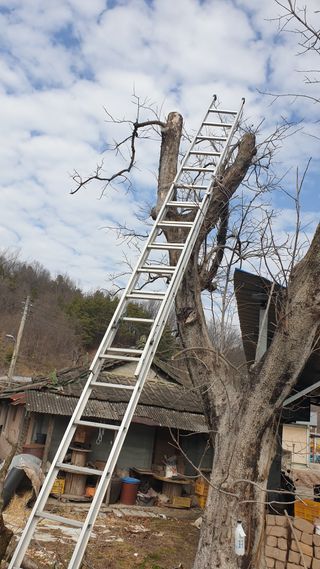 세미골곶감님의 자유주제 · 자유게시판 작성글 사진