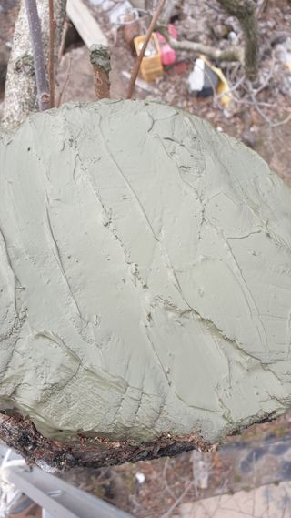 세미골곶감님의 자유주제 · 자유게시판 작성글 사진