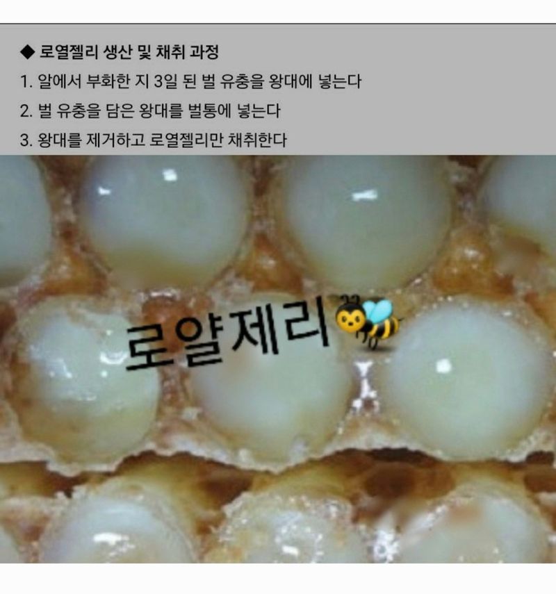 벌꿀*직접생산농장님의 장터 판매 상품 [국내산100% 프리미엄 생로얄제리] 첨부 사진