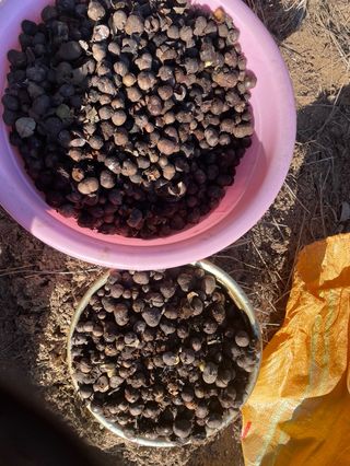 사과21620님의 함께 일하는 동료는 몇명인가요?·참여글 작성글 사진