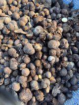 사과21620님의 함께 일하는 동료는 몇명인가요?·참여글 작성글 사진