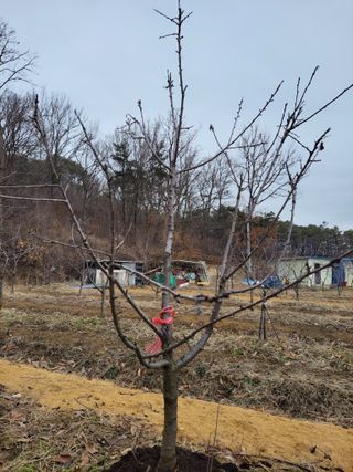 박정희 님의 기타작물 · 자유게시판 작성글 사진