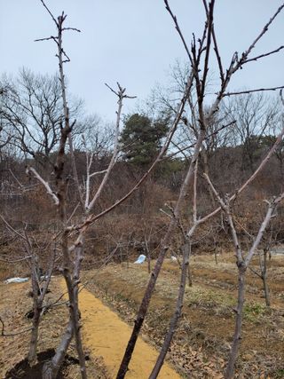 박정희 님의 기타작물 · 자유게시판 작성글 사진