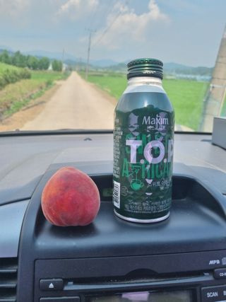 일심묘목농원님의 작성글 사진