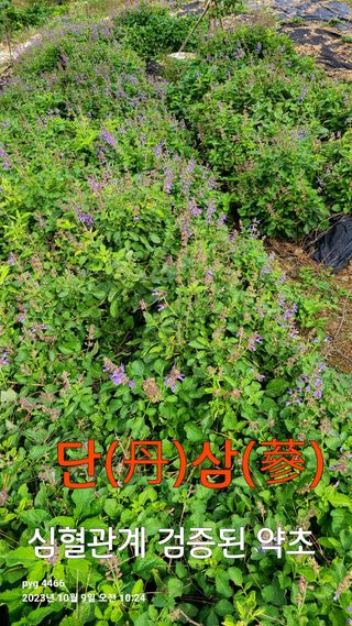 농꾼님의 자유주제 · 자유게시판 작성글 사진