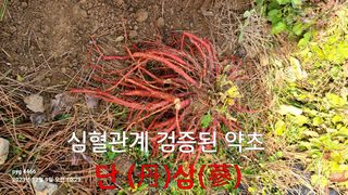 농꾼님의 자유주제 · 자유게시판 작성글 사진